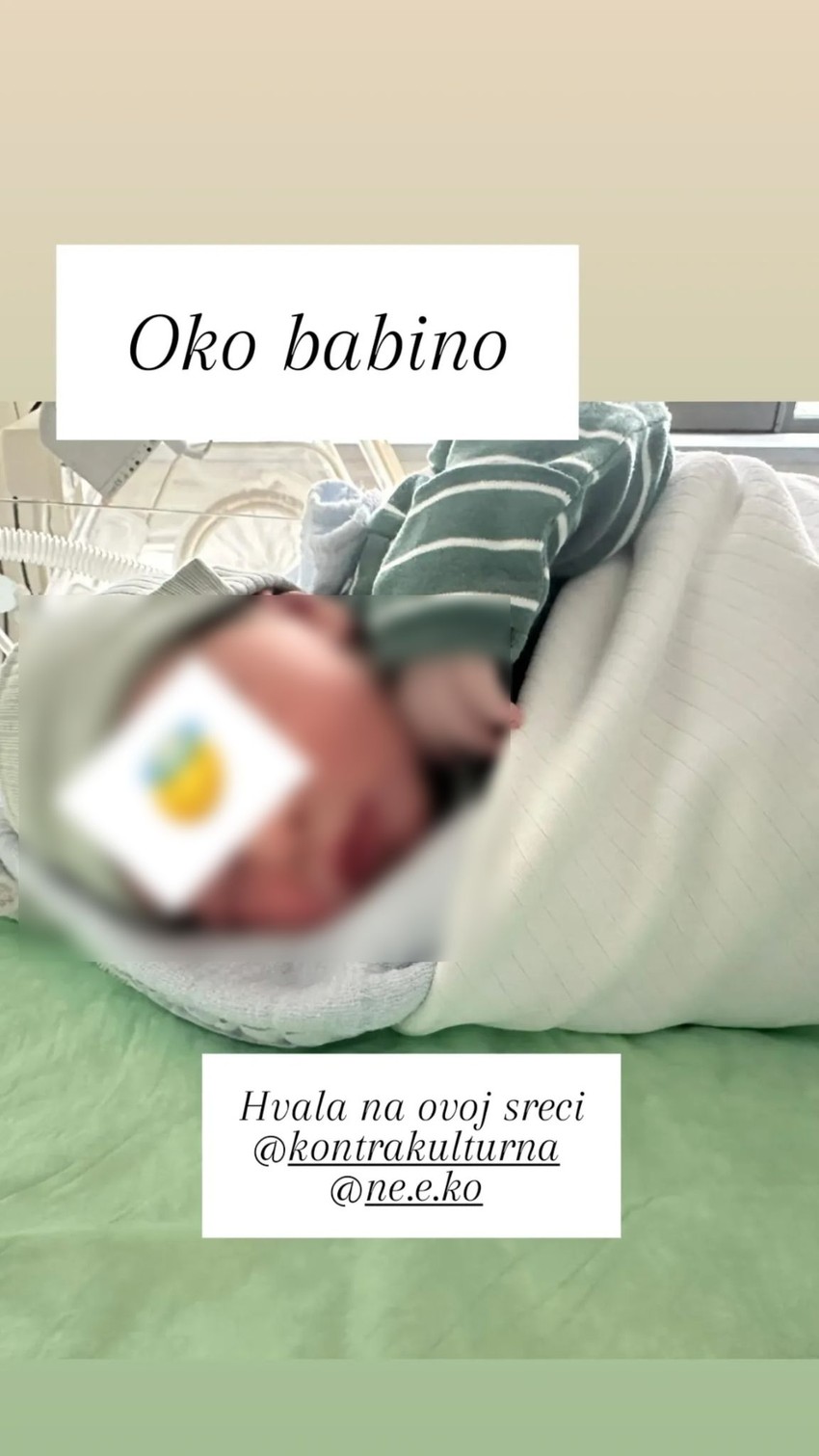 Kontrakulturna se porodila