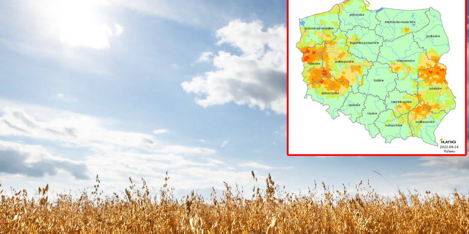 Susza rolnicza dotyka już praktycznie całej Polski