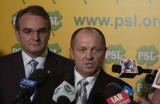 Mrozy spowodowały straty w uprawach na 1,4 mln ha w Polsce, ale klęski nie będzie