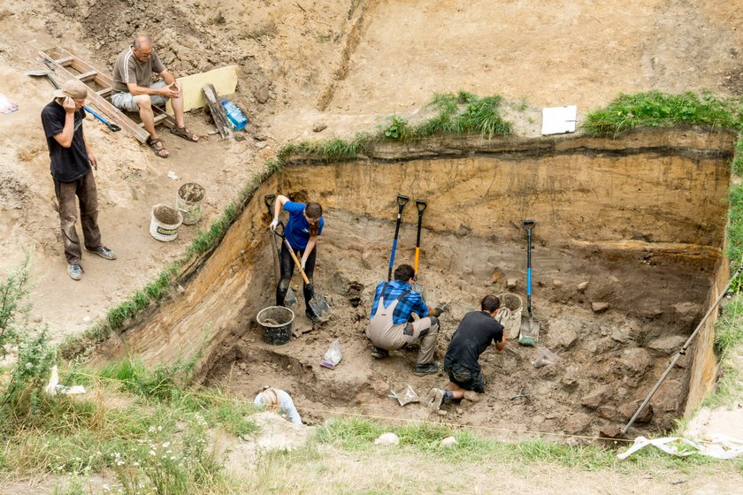 Odkrycia archeologów w Rudzie Śląskiej