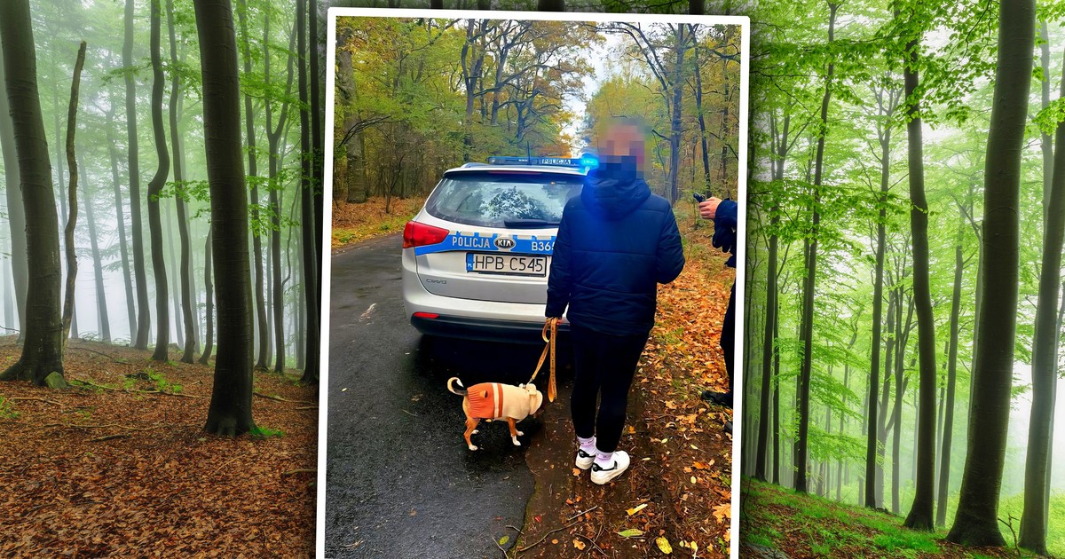 Młoda kobieta zgubiła się na grzybach. Była już zdesperowana. Uratowała ją jedna rzecz