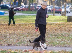 Foremniak ma psa jak kota