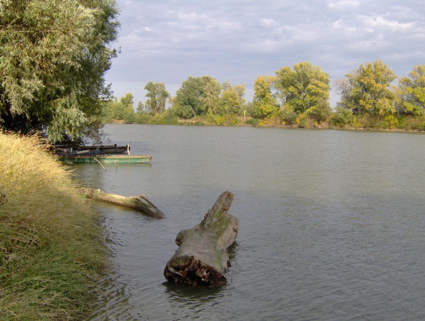 reka Tisa