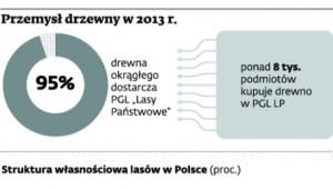 Przemysł drzewny w 2013 r.