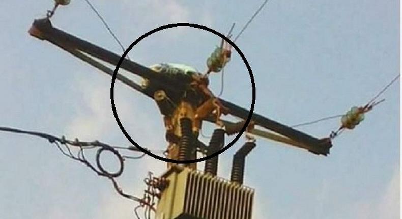 The alleged witch on top of the pole