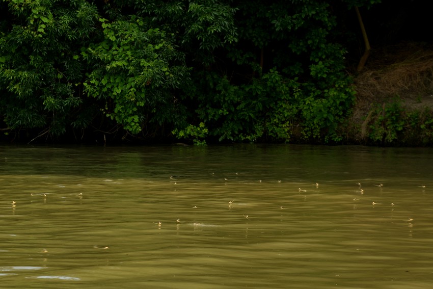 Voda duboka više od tri metra; ilustracija