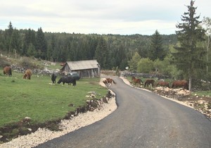 LUKIĆI ŽIVE U POSLEDNJOJ KUĆI U SRBIJI