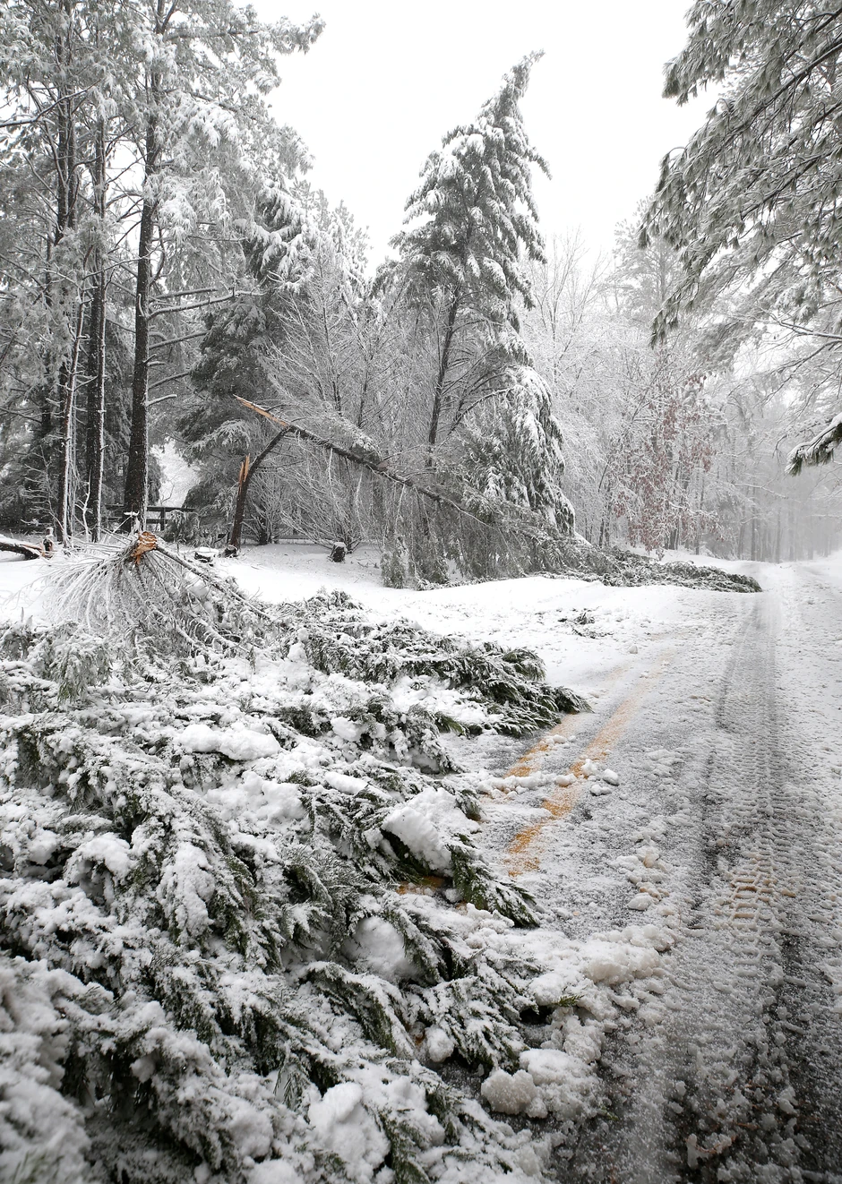 Snežna oluja u Virdžiniji