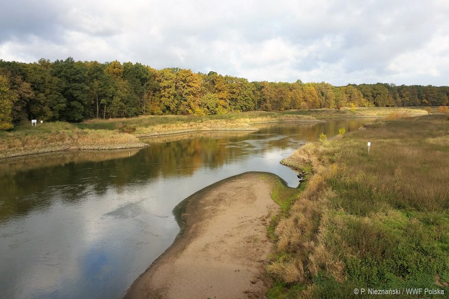 Odra fot. P.Nieznański / WWF Polska