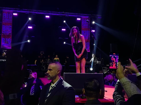 Ceca Ražnatović u Nemačkoj