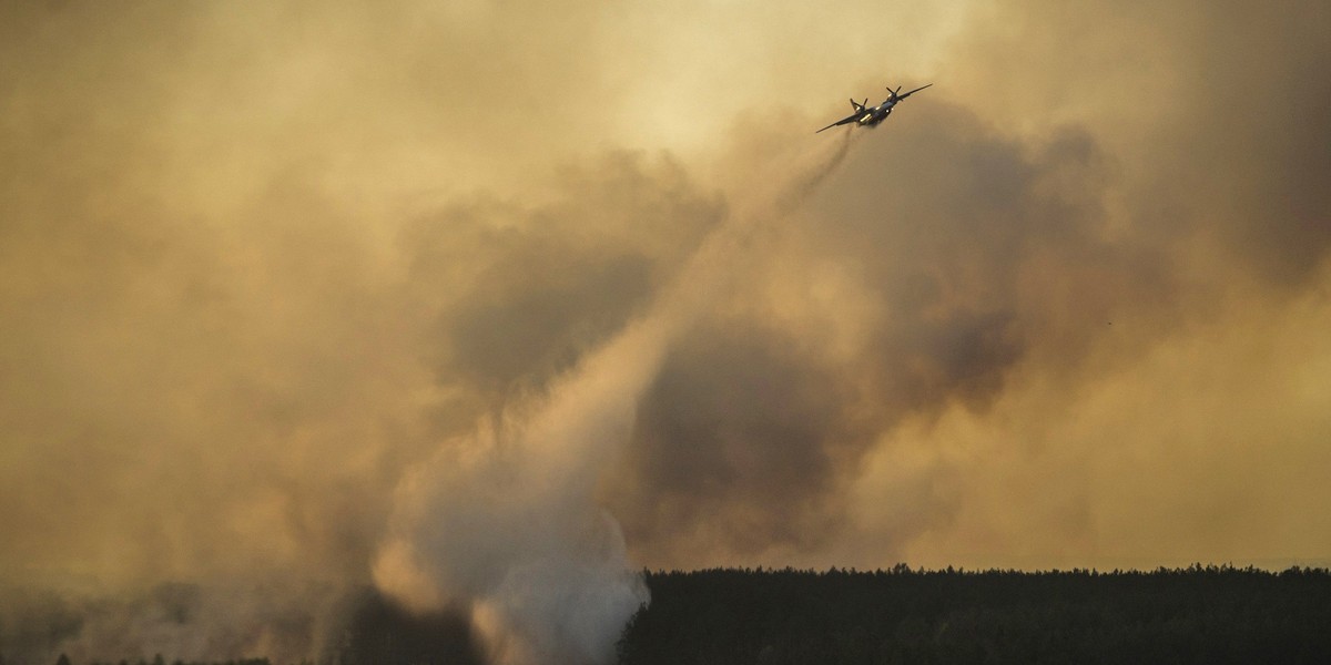 Pożar w Czarnobylu. Płonie las w zamkniętej strefie 