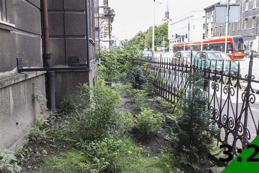 Ogród społeczny na Warszawskiej w Katowicach