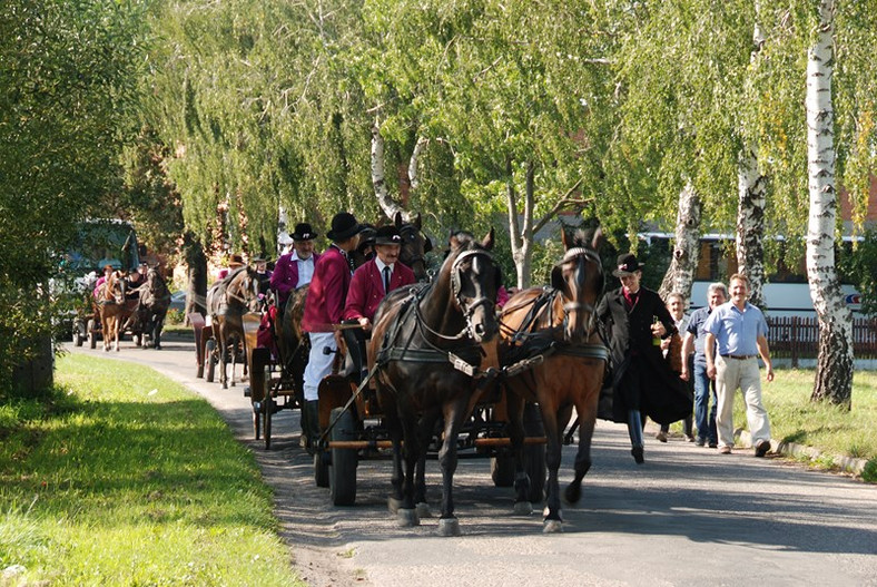 Biskupizna, Festiwal Tradycji i Folkloru w Domachowie