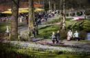 Holandia: słynny park kwiatowy Keukenhof otwarty po dwuletniej przerwie