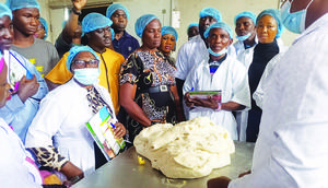 FG trains 60 master bakers on use of cassava flour in Edo/Photo used for the purpose of illustration. [TheGuardian]