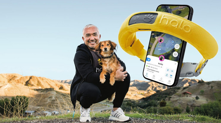A Halo által kifejlesztett kutyafelügyelő-nyakörvet precíz GPS-koordináták alapján vezérli a mesterséges intelligencia, ráadásul az állat és gazdája között a fejett adatátviteli rendszernek köszönhetően gyakorlatilag sohasem szakad meg a kapcsolat. / Fotó: Halo