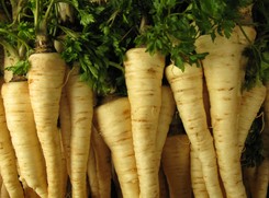 Do czego potrzebny nam BŁONNIK?