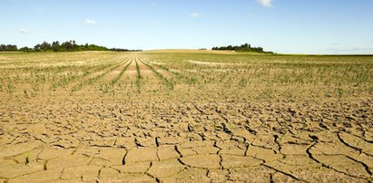 Polscy rolnicy biją na alarm! Mają poważny problem