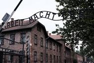 Brama Muzeum Auschwitz