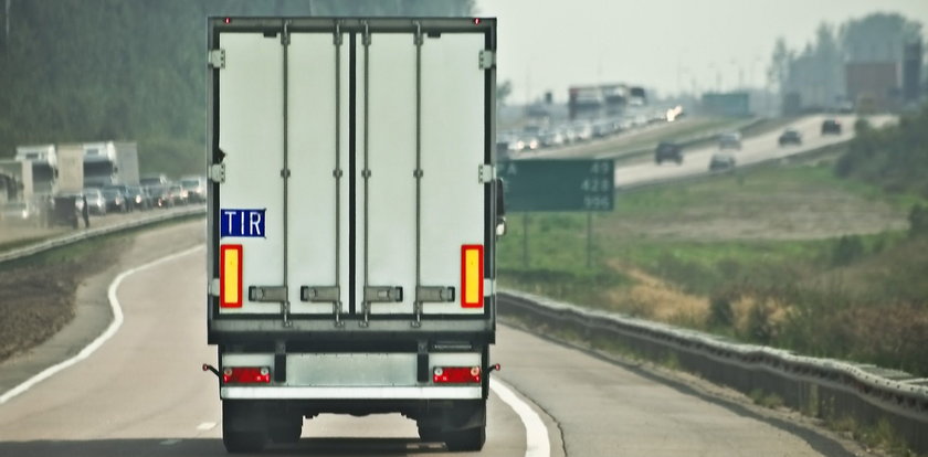 Szwecja. Firma transportowa przewoziła martwe płody razem z żywnością