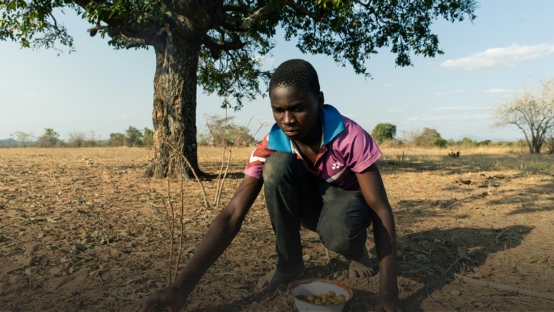drought in zimbabwe