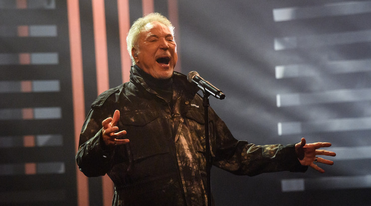 Tom Jones megtörte a csendet: Ezrét maradt el a budapesti koncert / Fotó: Northfoto