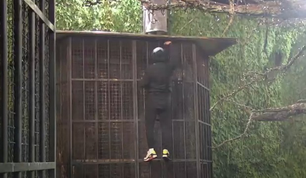 Nenad Aleksić Ša i Miona Jovanović pobegli su iz Bele kuće