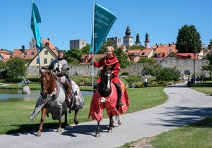 Švedska korona krstaški rat 