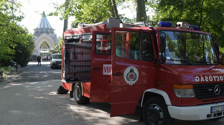 Tűzoltók siettek a budapesti állatkertbe / Fotó: BM OKF