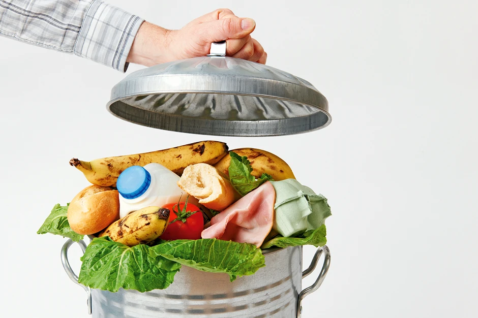 U Srbiji vlada epidemija bacanja neutrošene hrane