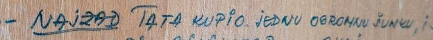 "Najzad. Tata kupio jednu ogromnu šunku,..."