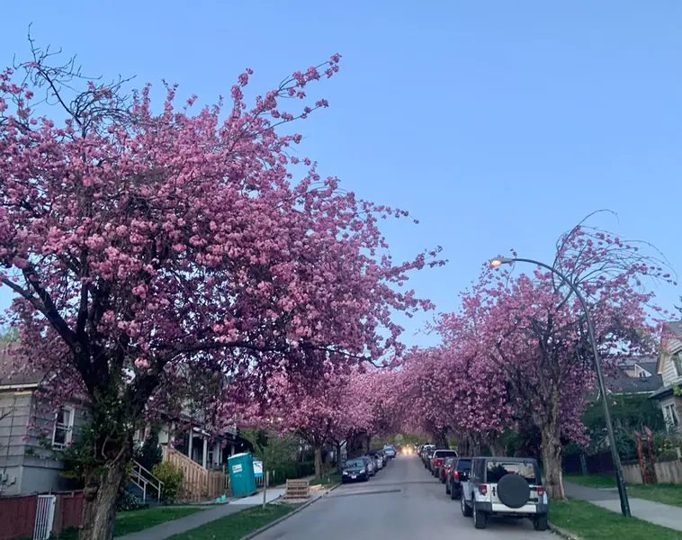 &quot;Vancouver jest najdroższym miastem w Kanadzie&quot;