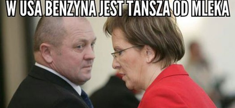 Kaczyński wciąż dąsa się o kartofla, a Kopacz podnosi ceny mleka. MEMY DNIA