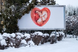 Przemysław Czarnek przyznał najważniejsze odznaczenie w edukacji autorom kampanii billboardowej z płodami