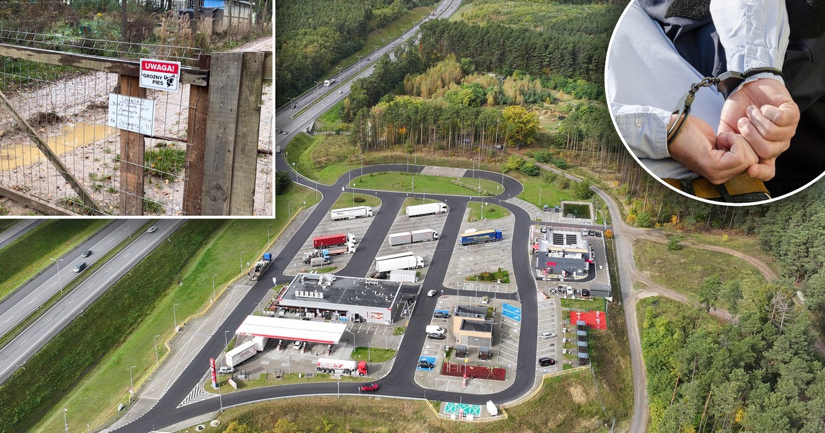 Koszmar pod Zieloną Górą. Psy uciekły ze strzelnicy i zaatakowały grzybiarza. Jest ruch prokuratury