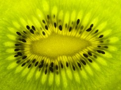 Kiwi jak lek na zaparcia. Wystarczy zjeść dziennie dwa owoce