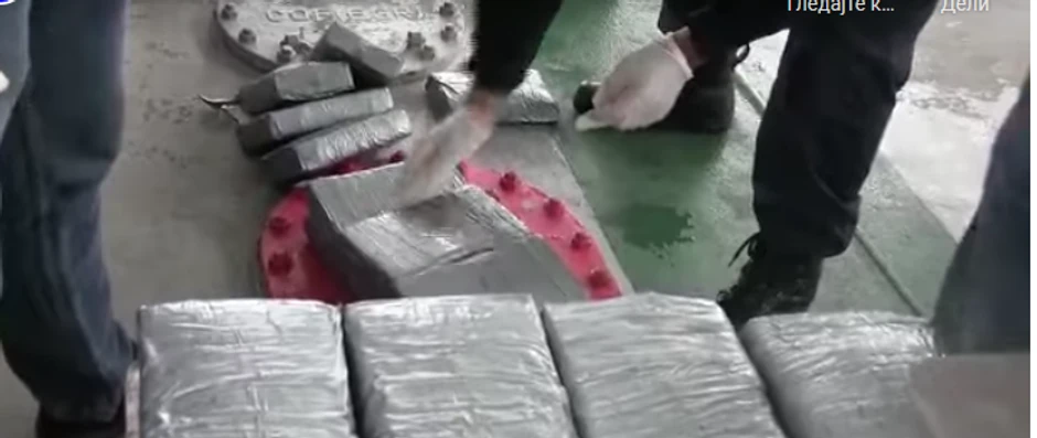 ronioci traže drogu