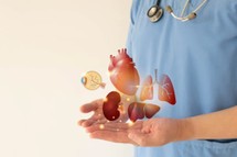 Jak zadbać o wątrobę i dlaczego to jeden z najważniejszych organów w Twoim ciele