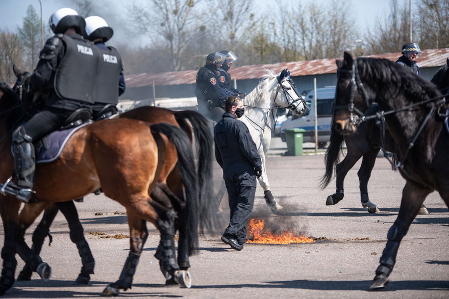 Atestacja koni policyjnych 2021