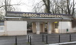 Zamień papier na drzewko w Starym ZOO