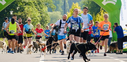 Psi Maraton w Parku Śląskim