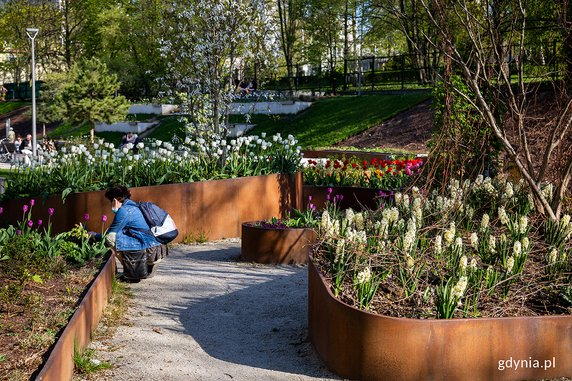 Park Centralny w Gdyni w kolorowej odsłonie [ZDJĘCIA]