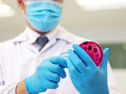 Wybuch epidemii w Wielkiej Brytanii. Potwierdzono pierwszy zgon