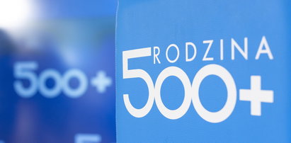 Zaskakująca informacja o 500+. Liczyły to tęgie umysły