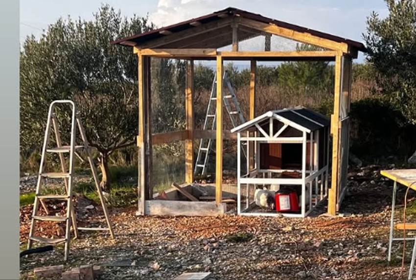 Kokošinjac Danijele Dvornik