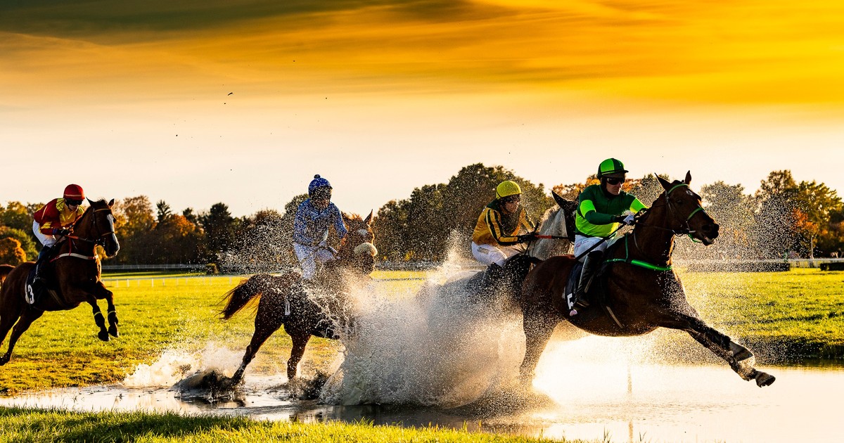 Pożegnanie sezonu na Partynicach już jutro. Ależ te konie są piękne...