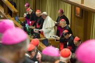 Synod 2014, biskupi, papież,  Franiciszek