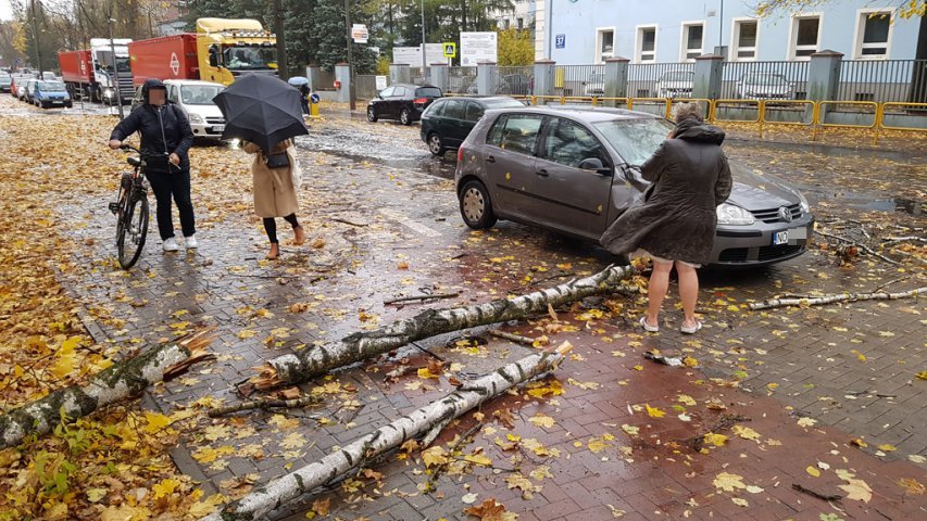 Wichura nad Olsztynem. Na al. Wojska Polskiego na volkswagena spadło drzewo 