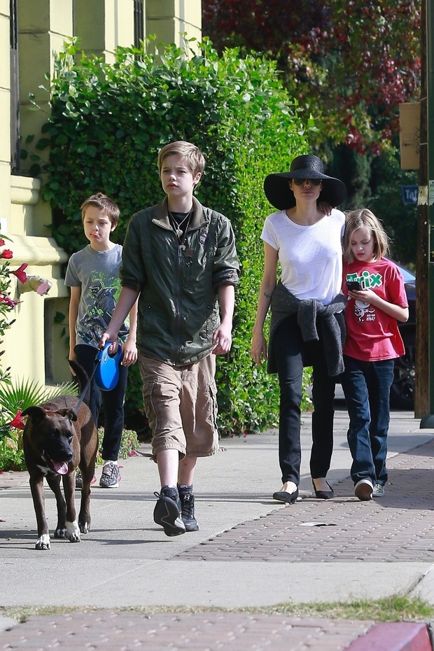 PorodiÄno Å¡etanje psa