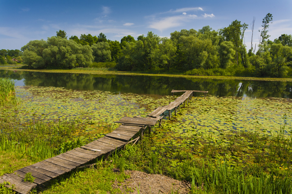 Park Krajobrazowy Lonjsko Polje – raj dla miłośników przyrody